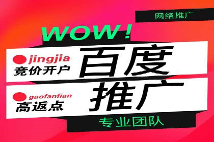 信息流广告的精准定位与效果优化案例分析